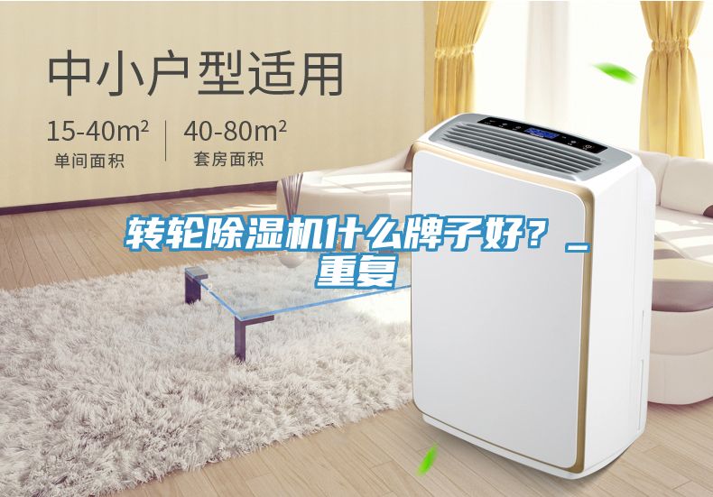 轉(zhuǎn)輪除濕機(jī)什么牌子好？_重復(fù)
