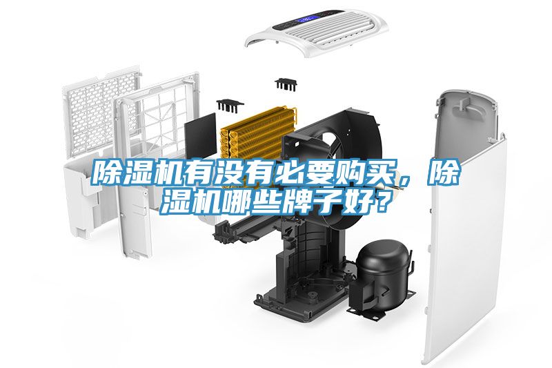 除濕機有沒有必要購買，除濕機哪些牌子好？