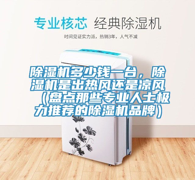 除濕機(jī)多少錢(qián)一臺(tái)，除濕機(jī)是出熱風(fēng)還是涼風(fēng)（盤(pán)點(diǎn)那些專業(yè)人士極力推薦的除濕機(jī)品牌）