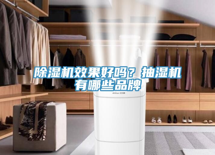 除濕機效果好嗎？抽濕機有哪些品牌