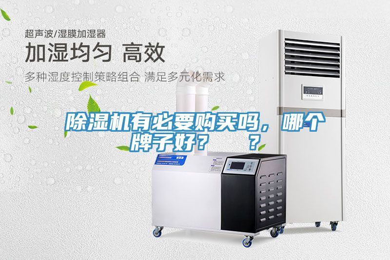 除濕機有必要購買嗎，哪個牌子好？  ？