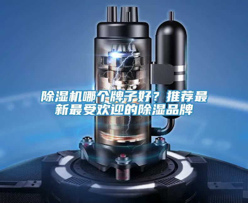 除濕機(jī)哪個(gè)牌子好？推薦最新最受歡迎的除濕品牌