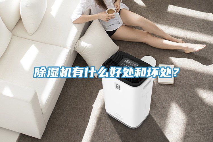 除濕機(jī)有什么好處和壞處？