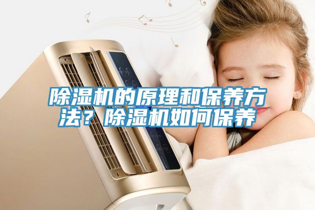除濕機的原理和保養(yǎng)方法？除濕機如何保養(yǎng)
