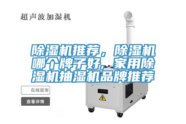 除濕機推薦，除濕機哪個牌子好, 家用除濕機抽濕機品牌推薦