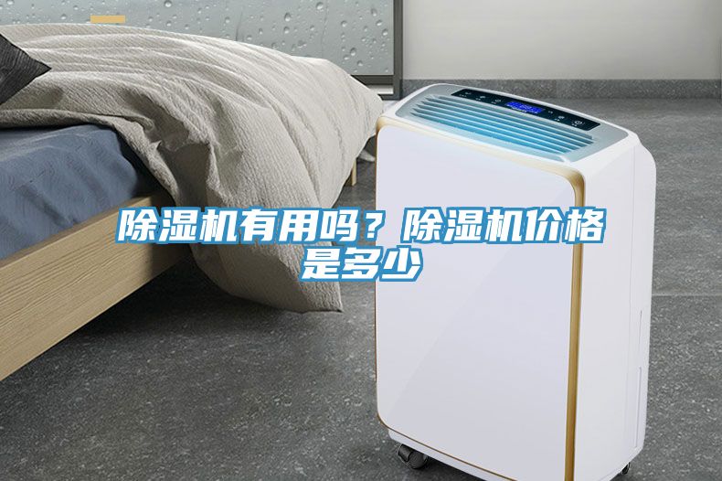 除濕機有用嗎？除濕機價格是多少