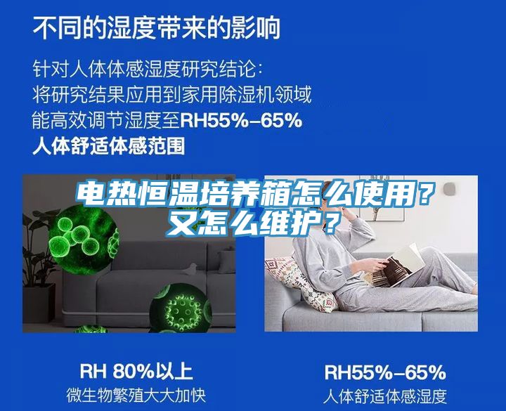 電熱恒溫培養(yǎng)箱怎么使用？又怎么維護(hù)？