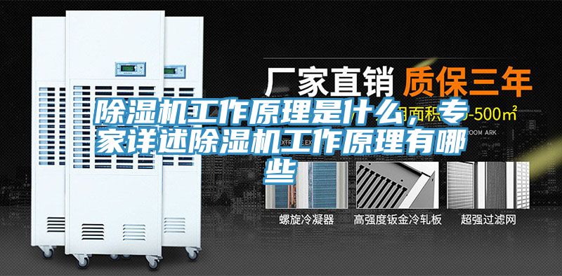 除濕機(jī)工作原理是什么，專家詳述除濕機(jī)工作原理有哪些