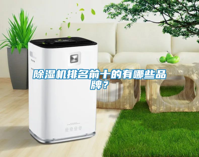 除濕機(jī)排名前十的有哪些品牌？