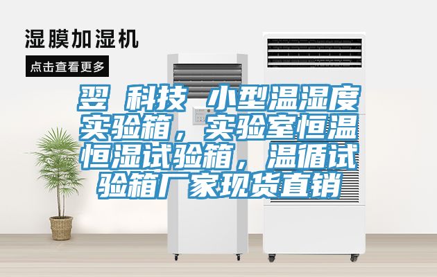 翌昇科技 小型溫濕度實驗箱，實驗室恒溫恒濕試驗箱，溫循試驗箱廠家現(xiàn)貨直銷