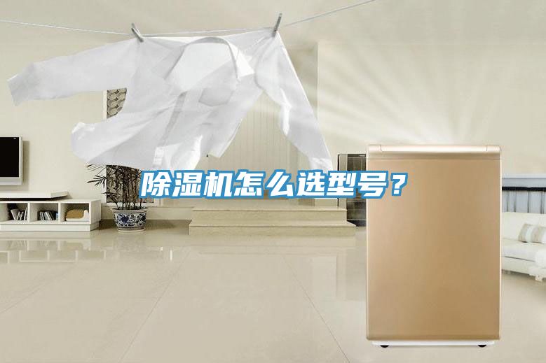 除濕機怎么選型號？