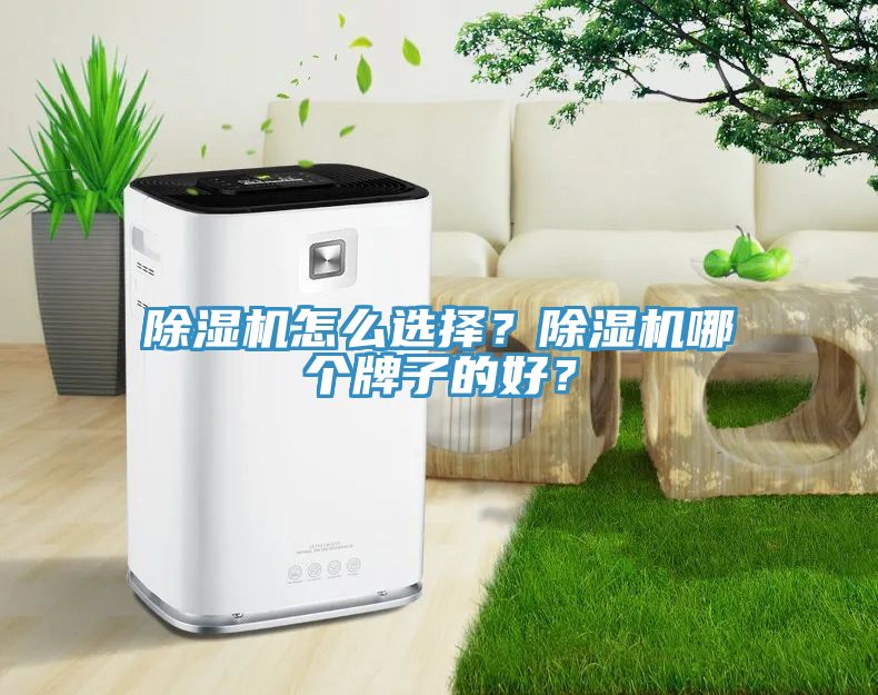 除濕機怎么選擇？除濕機哪個牌子的好？