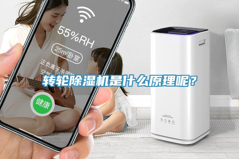 轉輪除濕機是什么原理呢？