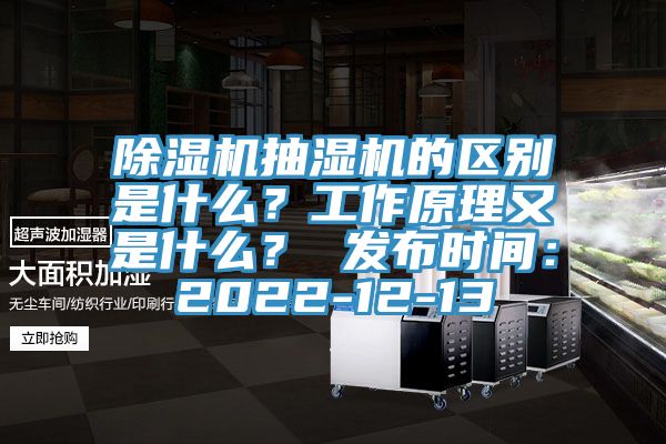 除濕機(jī)抽濕機(jī)的區(qū)別是什么？工作原理又是什么？ 發(fā)布時(shí)間：2022-12-13