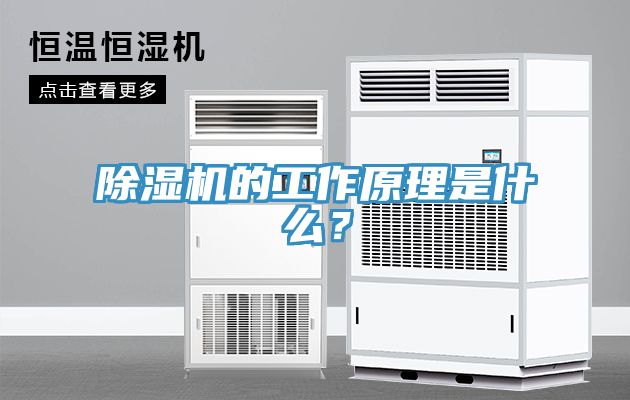 除濕機的工作原理是什么？