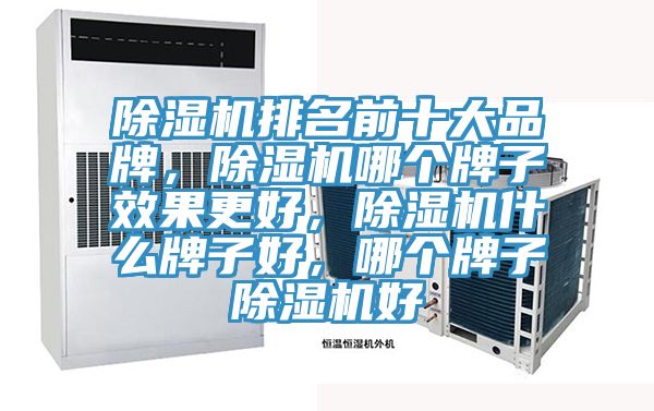 除濕機(jī)排名前十大品牌，除濕機(jī)哪個牌子效果更好，除濕機(jī)什么牌子好，哪個牌子除濕機(jī)好