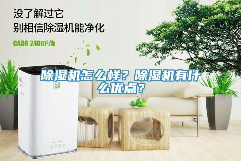 除濕機怎么樣？除濕機有什么優(yōu)點？
