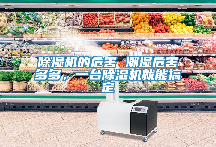 除濕機(jī)的危害 潮濕危害多多，一臺除濕機(jī)就能搞定