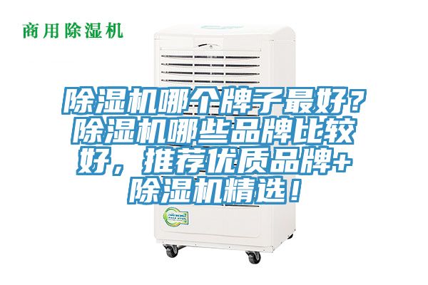 除濕機(jī)哪個(gè)牌子最好？除濕機(jī)哪些品牌比較好，推薦優(yōu)質(zhì)品牌+除濕機(jī)精選！