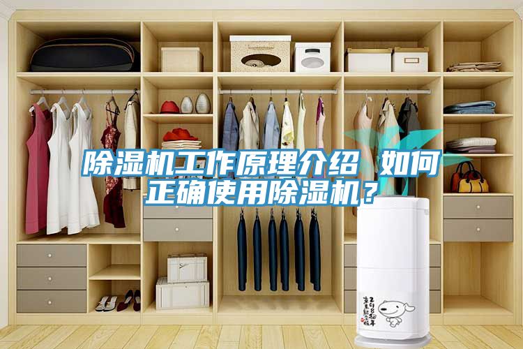 除濕機(jī)工作原理介紹 如何正確使用除濕機(jī)？
