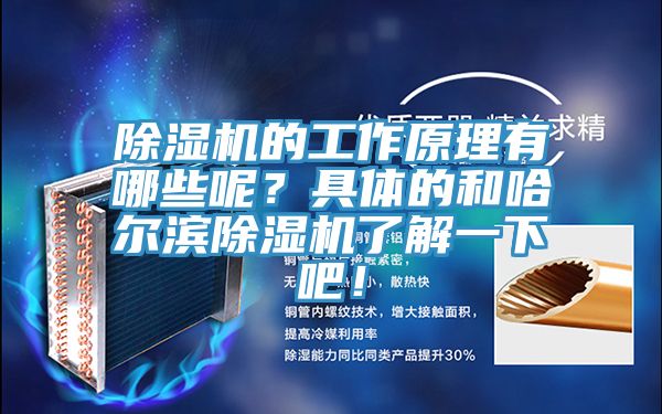 除濕機的工作原理有哪些呢？具體的和哈爾濱除濕機了解一下吧！