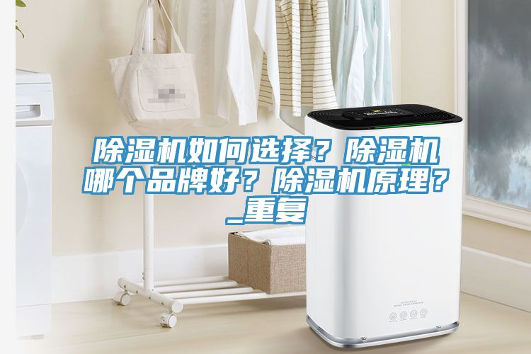 除濕機(jī)如何選擇？除濕機(jī)哪個品牌好？除濕機(jī)原理？_重復(fù)