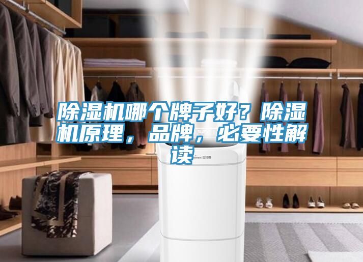 除濕機(jī)哪個(gè)牌子好？除濕機(jī)原理，品牌，必要性解讀