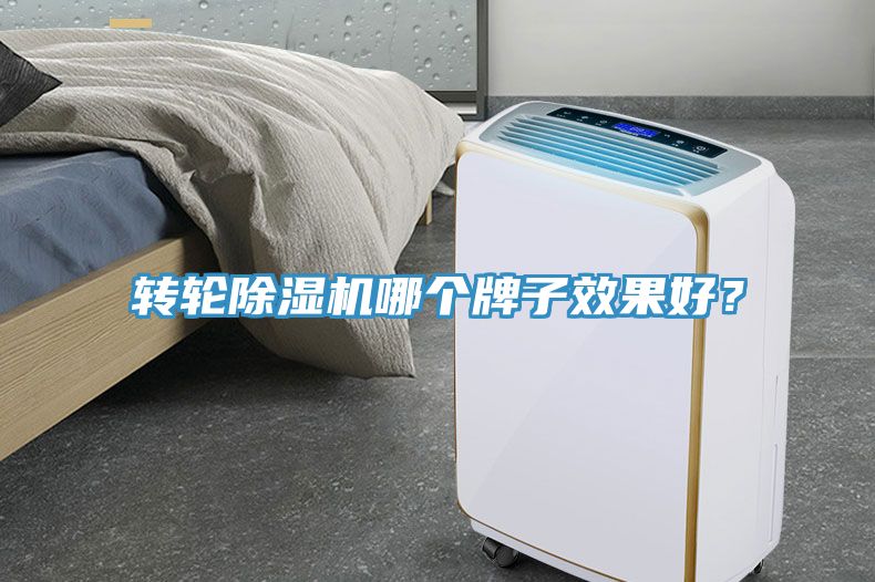 轉輪除濕機哪個牌子效果好？