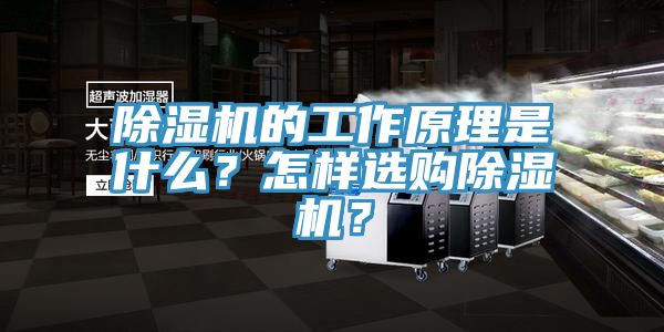 除濕機的工作原理是什么？怎樣選購除濕機？