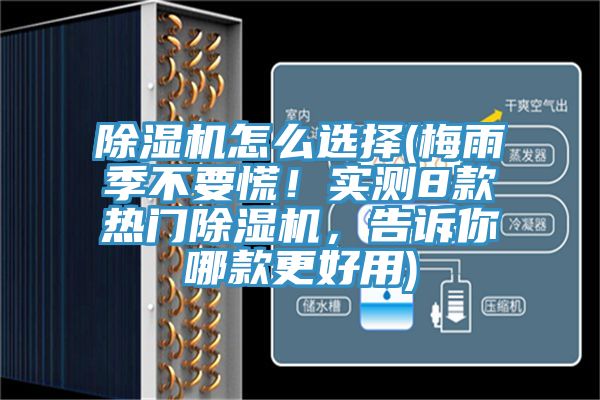 除濕機怎么選擇(梅雨季不要慌！實測8款熱門除濕機，告訴你哪款更好用)