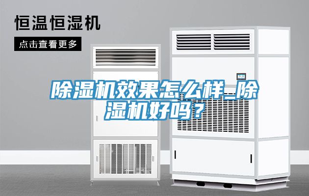 除濕機(jī)效果怎么樣_除濕機(jī)好嗎？