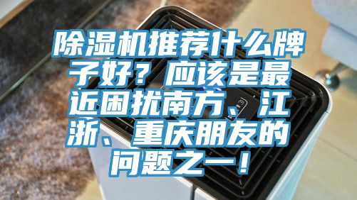 除濕機推薦什么牌子好？應該是最近困擾南方、江浙、重慶朋友的問題之一！