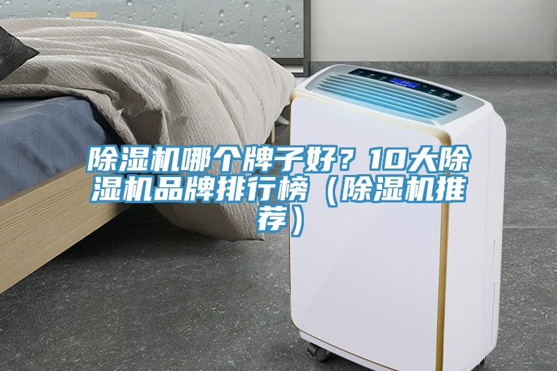 除濕機哪個牌子好？10大除濕機品牌排行榜（除濕機推薦）