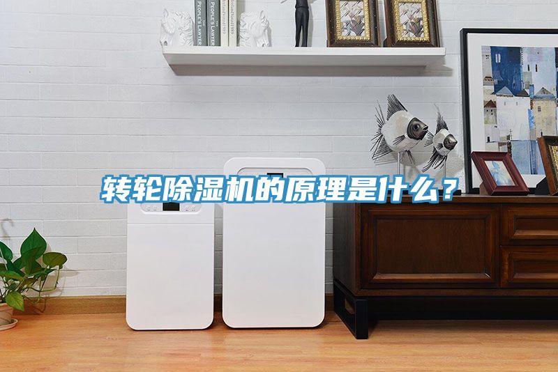 轉(zhuǎn)輪除濕機(jī)的原理是什么？