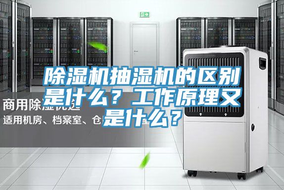 除濕機(jī)抽濕機(jī)的區(qū)別是什么？工作原理又是什么？