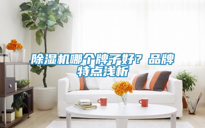 除濕機(jī)哪個(gè)牌子好？品牌特點(diǎn)淺析