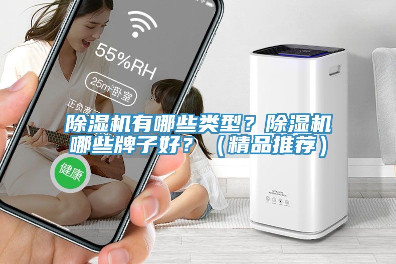 除濕機有哪些類型？除濕機哪些牌子好？（精品推薦）