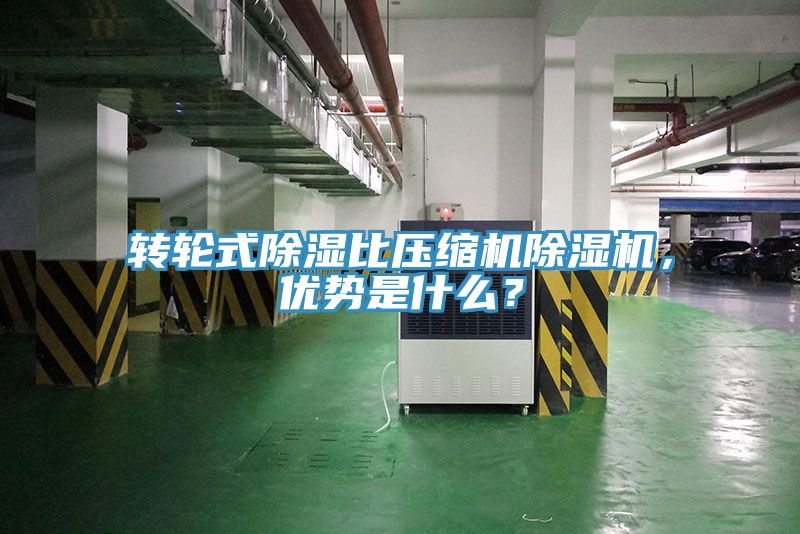 轉(zhuǎn)輪式除濕比壓縮機(jī)除濕機(jī)，優(yōu)勢(shì)是什么？
