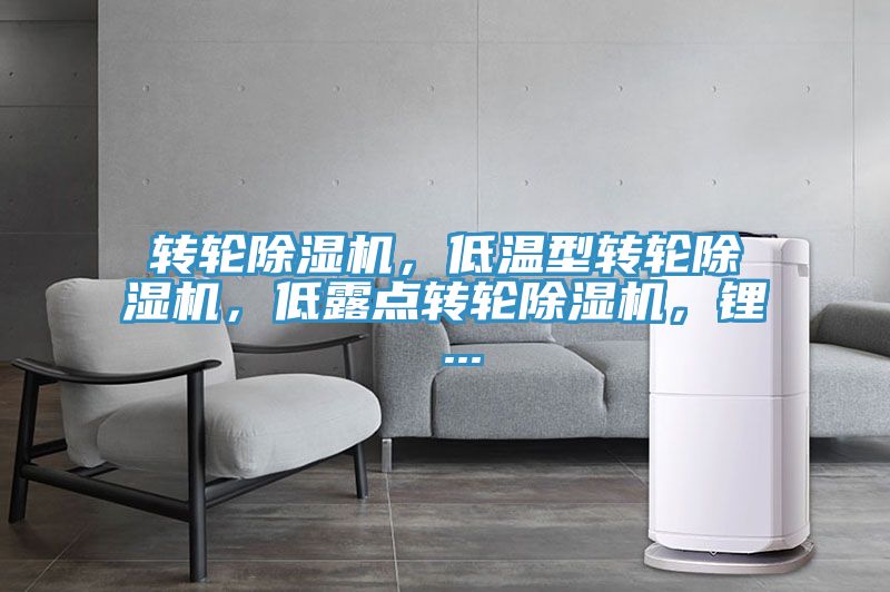 轉(zhuǎn)輪除濕機，低溫型轉(zhuǎn)輪除濕機，低露點轉(zhuǎn)輪除濕機，鋰 ...