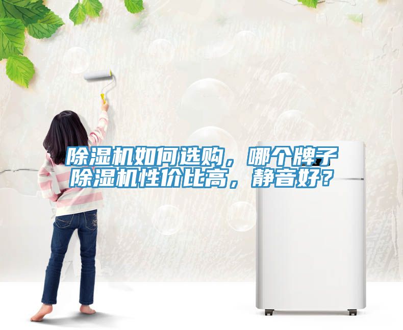 除濕機(jī)如何選購(gòu)，哪個(gè)牌子除濕機(jī)性?xún)r(jià)比高，靜音好？