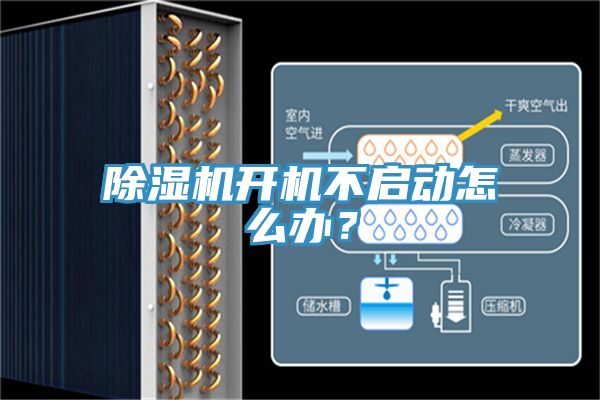 除濕機(jī)開(kāi)機(jī)不啟動(dòng)怎么辦？